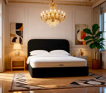 Plush Black