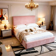 Plush Pink