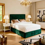 Plush Green