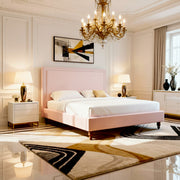 Plush Pink